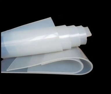 WhatsApp Image 2026-02-21 at 17.11.59 (1)